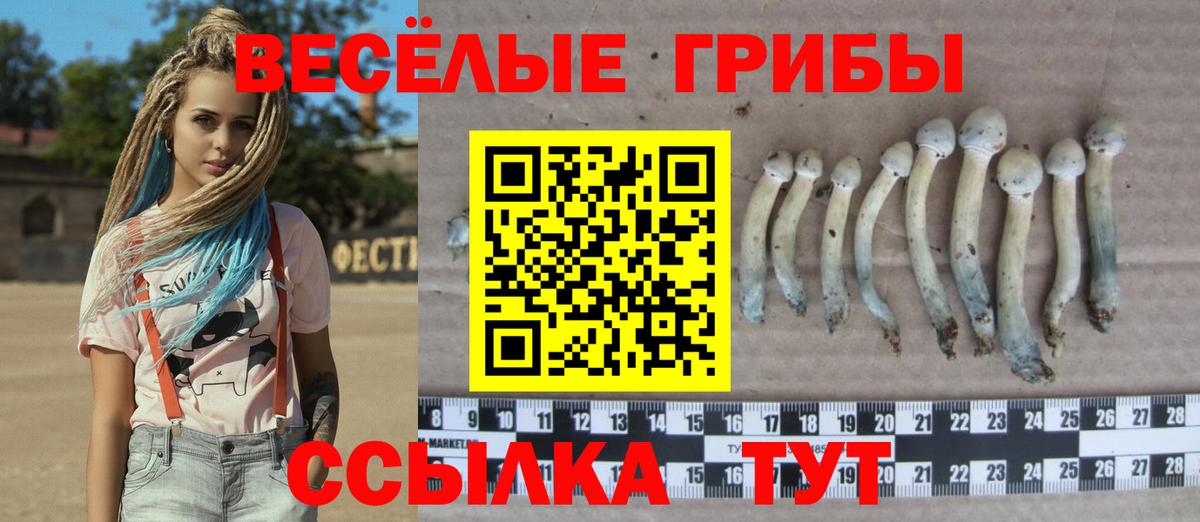 Трёхгорный  Галлюциногенные грибы мухоморы  Вход с VPN 