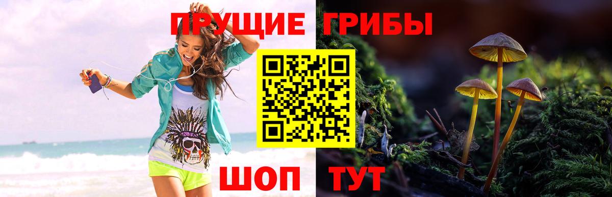 Псилоцибиновые грибы ЛСД Трёхгорный